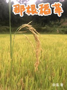 那根稻草落下什么意思