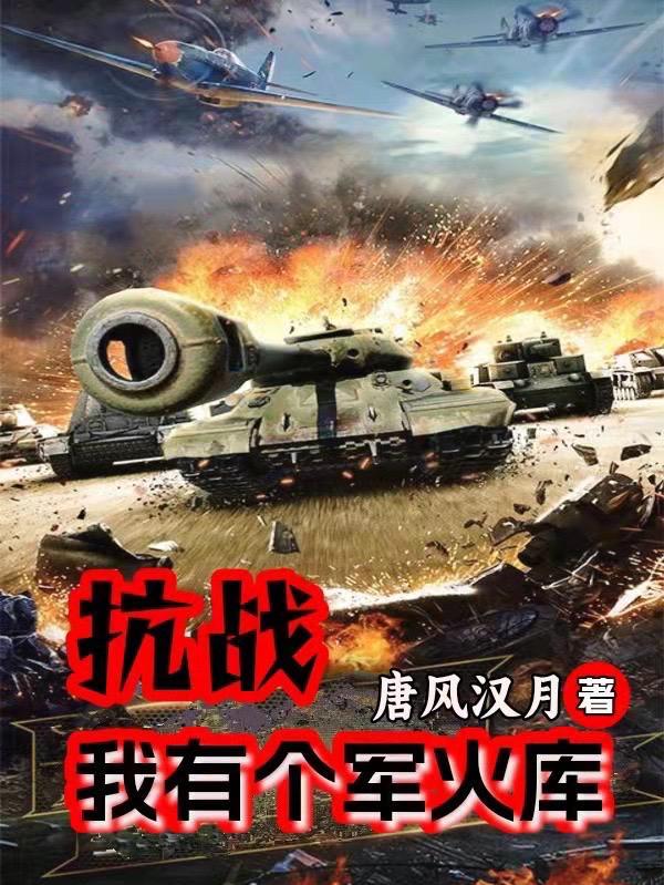 抗战我有个军火库 唐风汉月